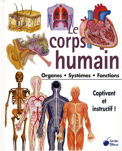 Le  corps humain