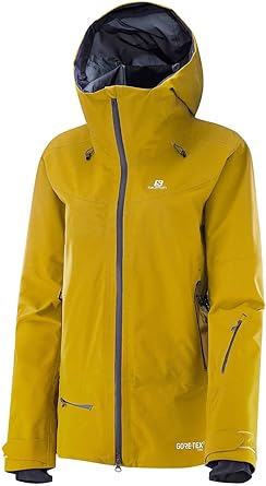 salomon qst gtx jacket