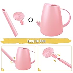 Watering Can for Indoor Plants, Small Watering Cans