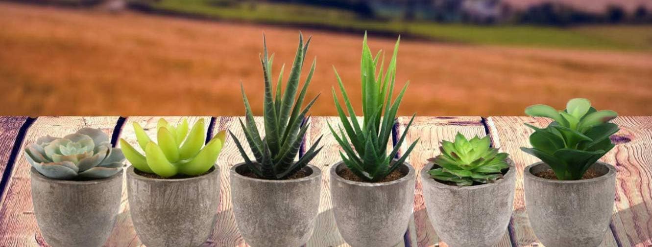 Assorted Decorative Faux Succulent Artificial Succulent Cactus Fake Cacti Plants with Gray Pots, Set of 6