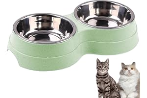 AKEISHE Double Cat Food and Water Bowl Set - Stainless Steel Bowls with Easy-to-Clean Detachable Design, Non-Slip Base, Pet Feeder for Kittens and Medium Cats (Green)