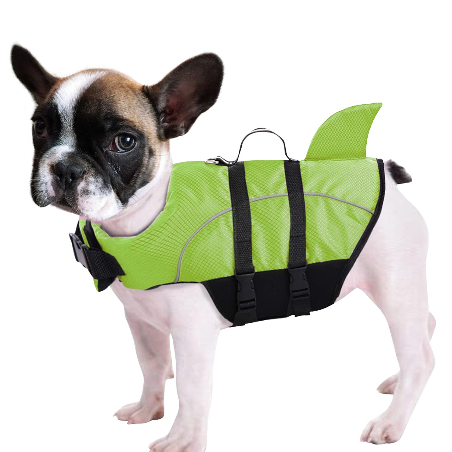 Queenmore Ripstop Dog Life Jacket Shark Life Vest for Dogs, Safety Lifesaver with High Buoyancy and Lift Handle for Small and Medium Breeds(Green, L)
