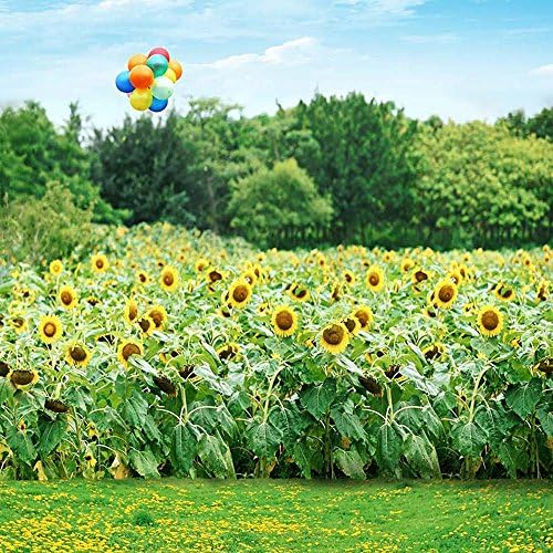 Aaloolaa 5x5FT Vinyl Photo Backdrops Photography Background Wedding Romance Sunflowers Field Trees Sky Balloon Florets Floors Lovers Girl Kids Portrait Pastoral Scene Props for Video Shooting Studio