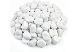 FANTIAN 20 lbs White Rocks for Gardens, 2-3 Inch Decorative Pebbles for Plants Outdoor, White River Rocks for Landscaping Plants Backyard Aquarium Vase and Bird Bath