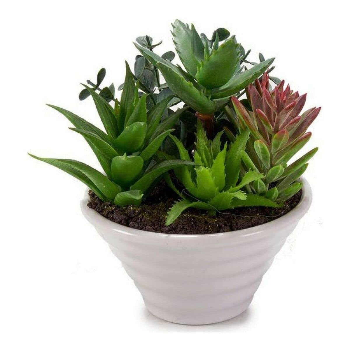 Ibergarden S3600543 Plastic Planter, Multicoloured, 12 x 14 x 12 cm