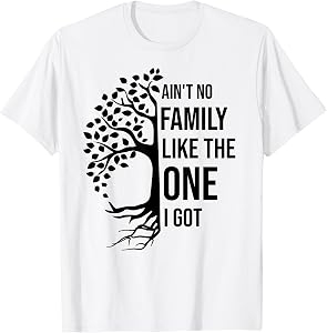 Ain't No Family Like The One I Got Funny Family Reunion T-Shirt