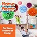 25 Piece Party Decorations Set - Tissue Paper Flowers + Plastic Swirls Bundle - Party Streamers - Tissue Paper Pom Poms - Multi-Color