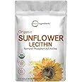 Sustainably US Grown, Organic Sunflower Lecithin Powder, 1 Pound, Sustainable Farmed, Cold Pressed, Rich in Phosphatidyl Chol