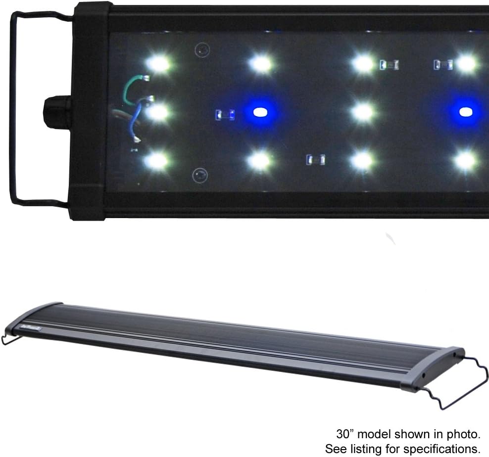 Best Current Led Aquarium Lighting 48 – 60