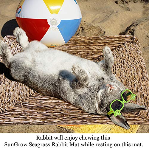 SunGrow Seagrass Rabbit Mat, 12x12 Inches, Edible, Handmade, Hay Mat for Sleeping, Chewing