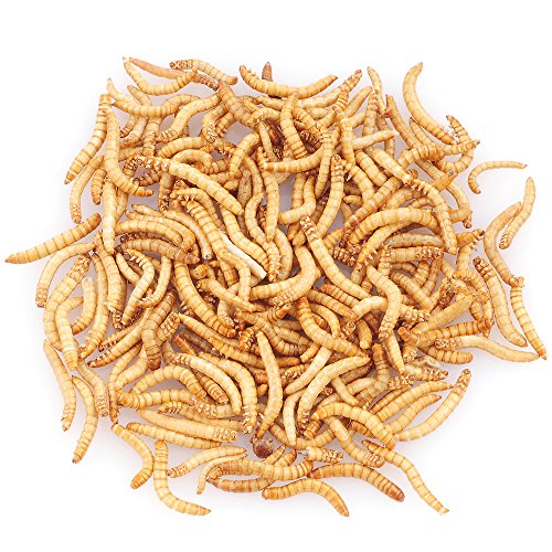 7 oz Tasty Freeze Dried Mealworms Pet Worms Food For Chickens, Ducks