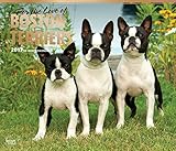 For the Love of Boston Terriers Deluxe - 2017 Calendar 14 x 12in
