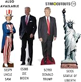 Star Cutouts Donald Trump Cardboard Face Mask Party Event Fun Bronze view 4
