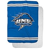 University of New England Primary Logo Stripes