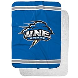 University of New England Primary Logo Stripes