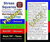 Stress Square Instruction Cards (500)