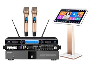 WELLZWEIDER New Professional Karaoke Machine KV-V5 Karaoke Player with Wireless Microphone 22 inch capacitive Touch Screen Online Home Theater Player and China TV