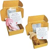 Roioiow 2Pack My Little Worry Bear Plush Teddy with Greeting Card and Box - Emotional Support Relationship Gift for Friends, Family, Colleagues