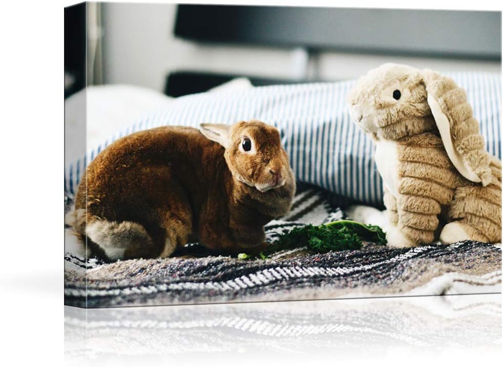 Wall Décor - NWT Custom Canvas Prints with Your Photos for Pet/Animal, Personalized Canvas Pictures for Wall to Print Framed 24x36 inches