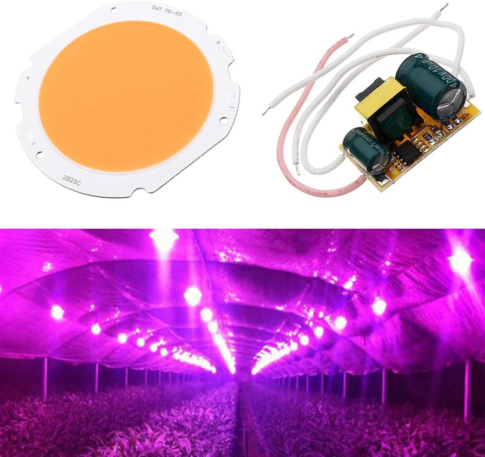 ERCZYO 20W LED COB Round Grow Light Chip DIY with AC90-240V Driver Power Supply for Indoor Plant Flower ERCZYO
