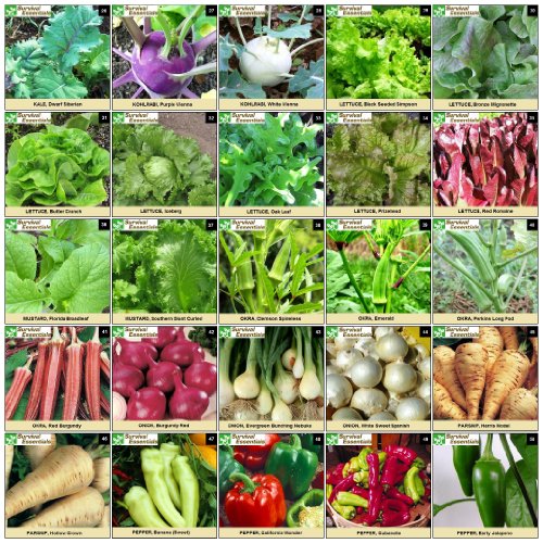 Survival Essentials 100 Variety Premium Heirloom Non Hybrid Non GMO