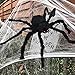 UMIKU 140'' Halloween Spider Web + 50'' Fake Spider Decorations Giant Spider Web Halloween Spider Decoration for Indoor Outdoor Halloween Decorations for Party Costume House Garden Yard Wall Bar