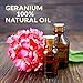 SenseLAB Geranium Essential Oil - 100% Pure Extract Geranium Oil - Therapeutic Grade Essential Oils - Rose Geranium Essential Oil Skin Care Oil - Relaxing and Soothing Oil - Aceite de Geranio (10 ml)