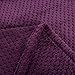 Simple&Opulence Solid Coral Jacquard Dot Velvet 50 X 60-Inches Throw Blanket, Purple