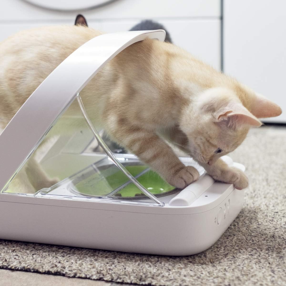 Pet Supplies : Sure Petcare -SureFlap - SureFeed - Microchip Pet Feeder - Selective-Automatic Pet Feeder Makes Meal Times Stress-Free, Suitable for Both Wet and Dry Food - MPF001 : 