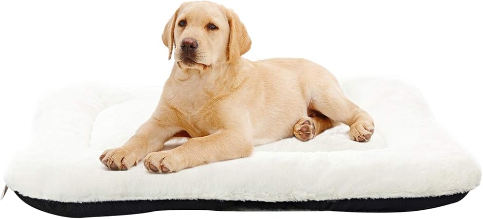 amazon dog crate mat