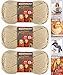 Bernat Softee Chunky Yarn Bundle Super Bulky #6, 3 Skeins Linen 28021