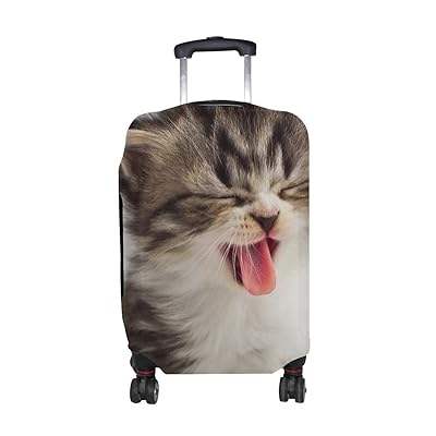 pet suitcase