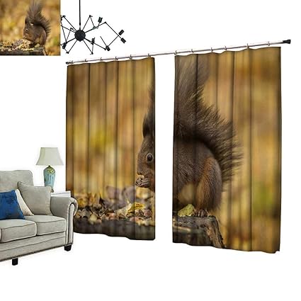 Amazon Com Prunus Blackout Curtains With Hook Red Squirrel Autumn