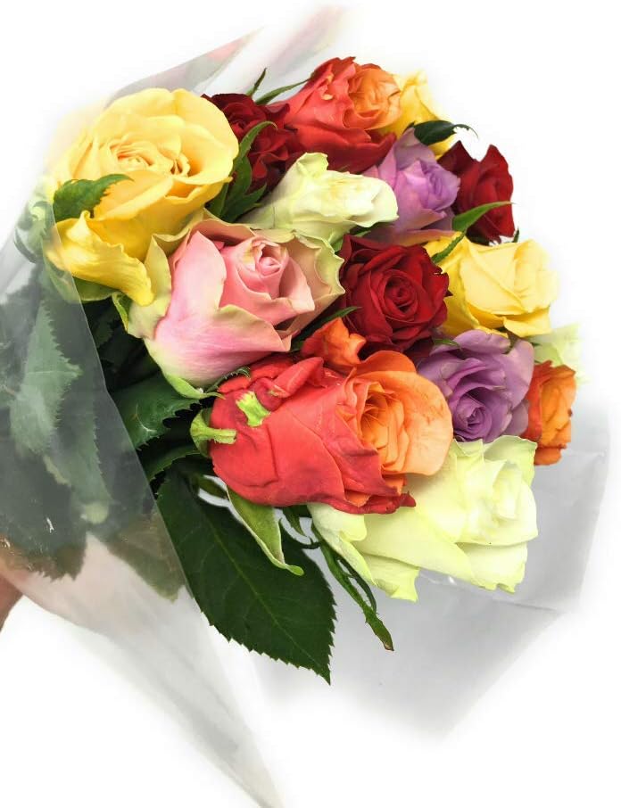 Quinlan Wasserman, Rose African, 16 Stems