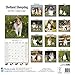 Shetland Sheepdog Calendar - Breed Specific Shetland Sheepdog Calendar - 2016 Wall calendars - Dog Calendars - Monthly Wall Calendar by Avonside