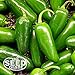 Jalapeno M Pepper Seeds - 200 Seeds NON-GMO primary