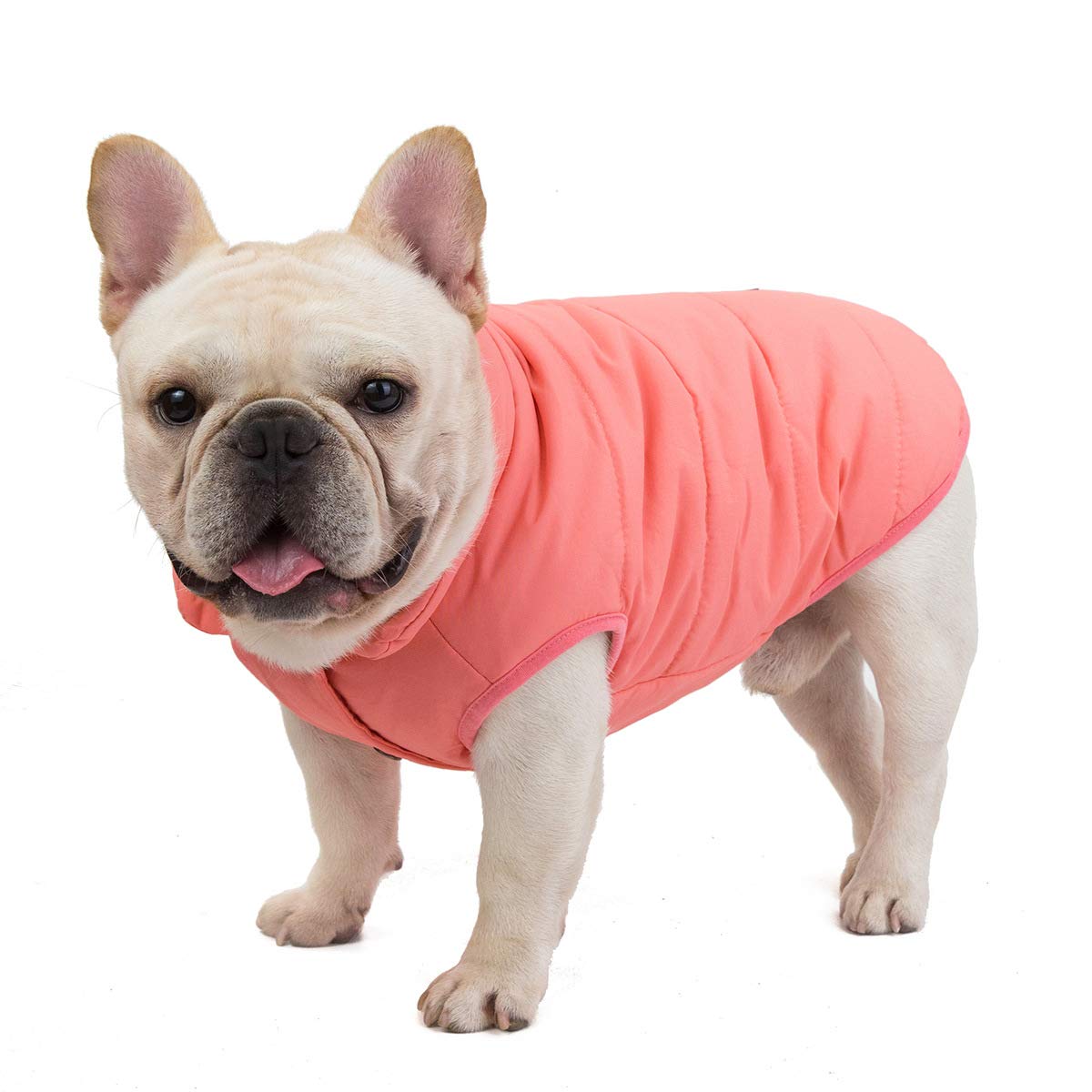 Izefia Dog Coat Cold Weather Coat Windproof Jacket Fleece Warm Dog Vest Winter Thick Clothes Dog Coat for Small Dog Bulldog Medium Cat 1C-Pink M