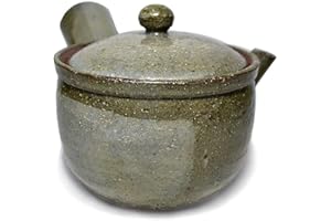 Shigaraki Pottery G5-2708 Kyusu Teapot Tsuchi no Oto Earth Color(Japan Import)