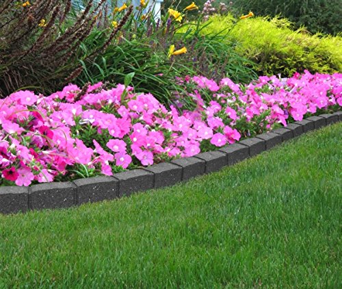 Romano piedra borde de jardín: Amazon.es: Jardín