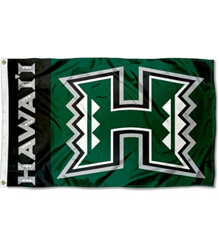 University Of Hawaii Rainbow Warriors Flag - 3x5 Feet, 100% Polyester, Indoor/Outdoor, Officially Licensed - View #8
