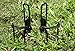 DIMPLES EXCEL Water Bottle Cages, Bike Bicycle Lightweight Water Bottle Holder Cages Brackets (2 Pack (Black + Black))