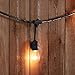 Amazon Basics Outdoor Patio String Lights, S14 Bulb, 48 Feet, Black