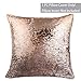 EVERMARKET Mermaid Throw Pillow Cover,Magic Reversible Sequin Pillow Case, Cute Pet Pattern Throw Cushion Pillow Case Decorative Pillow That Change Color 16