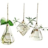Propagation Station, Plants Terrarium, Plants Lover Gifts for Women,Plant Cutting Holder Home décor,Gifts for Women,House Warming New Home-3 Geometric Shape