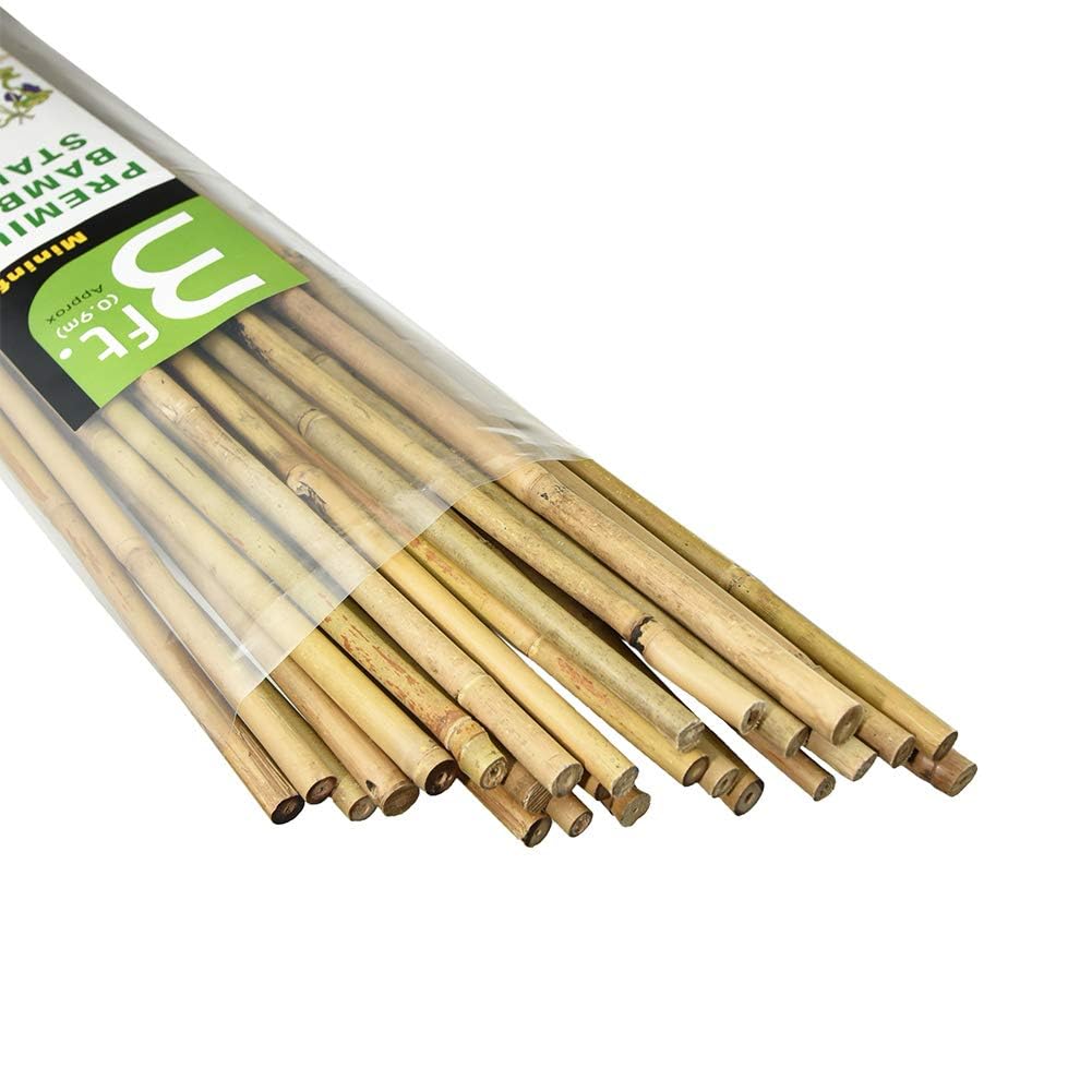 Mininfa Natural Bamboo Canes 3 Feet, Bamboo Stake, Eco-friendly Garden Stakes, Plant Stakes Supports Climbing for Tomatoes, Trees, Beans, 25 Pack