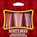 Burt's Bees Endless Shine Trio Holiday Gift Set, 3 Lip Glosses in Gift Box