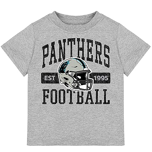 Gerber NFL Baby & Toddler Short Sleeve Tee Shirt, Carolina Panthers, 18 Months…