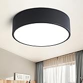TYNCEAOL Dimmable Modern Flush Mount Ceiling Light Fixture,Matte Black Round LED Lights Fixtures,5CCT 2700K-6000K Lighting fo