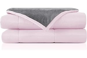 ROKDUK Weighted Blanket Full/Queen 15 Pounds 60x80 in Weighted Blanket Throw Size for Adults Warm Minky Reversible Heavy Blanket with Premium Glass Beads (Grey Minky & Pink)