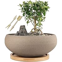 MUZHI Round Unglazed Ceramic Bonsai Pot with Bamboo Tray, Large Rough Pottery Succulent Planter with Drainage Hole 8 inch